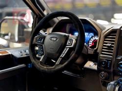 فورد F-150 رابتور